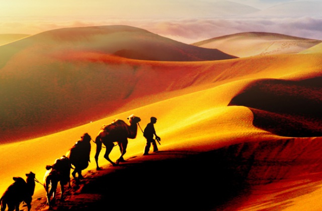 永星电子50周年纪念展厅数字画册设计