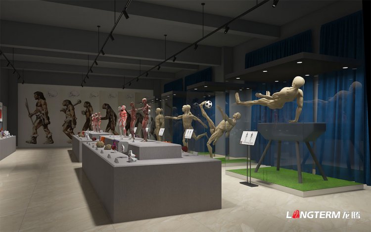 四川护理职业学院校史馆策划设计