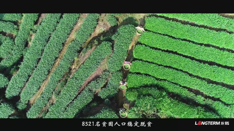 丹棱县乡村振兴形象宣传片